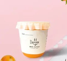 Freshly Squeezed Orange Juice