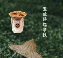 Magnolia Green Pearl Latte