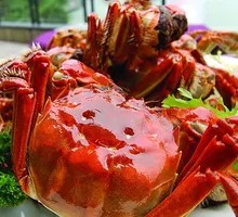 Premium Male Freshwater Crab