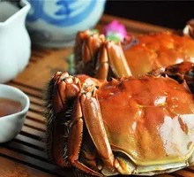 Female Yangcheng Lake Crab