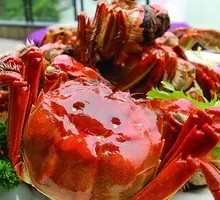 Yangcheng Lake Premium Male Crab