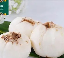 Fresh Lily Bulb