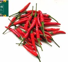 Small Chili Pepper