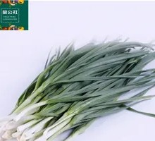Green Garlic Leaves