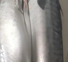 Braised Small Tail Fish