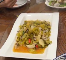 Snow Cabbage and Baby Squid