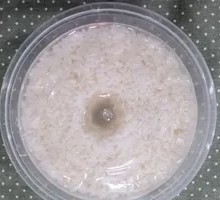 Homemade Sweet Rice Wine