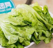 Lettuce