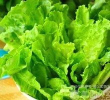 Lettuce