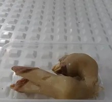 Goat Foot