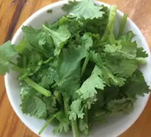 Cilantro