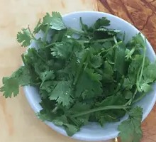 Cilantro