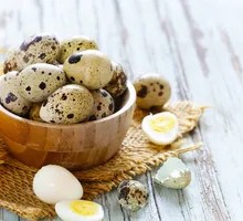 Quail Egg