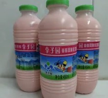 Lizi Garden Strawberry