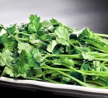 Cilantro