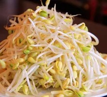 Bean sprouts
