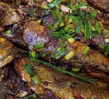 Braised Spanish Mackerel