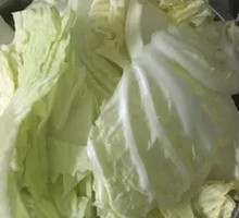 Napa cabbage