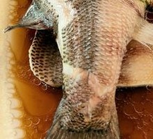 Steamed Sea Bass
