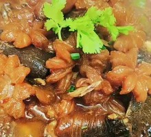 Softshell Turtle and Bull Penis Stew