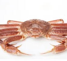 Long-legged Crab