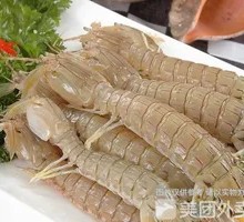 Mantis Shrimp