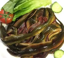 Fresh Eel
