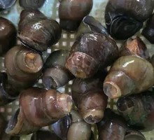 Large Snail Stir-fry
