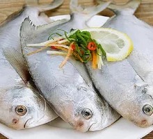 Fresh Red Pomfret