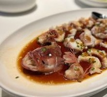 Steamed Eastern Star Grouper with Scallop Sauce