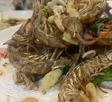 Mantis Shrimp