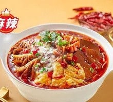 Chongqing Maoxuewang