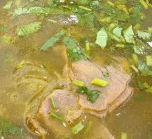 Curry Noodle Soup