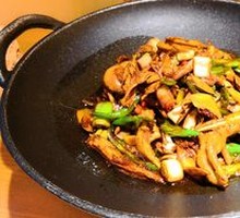 Flavorful Shredded Chicken