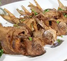 Grilled Large Spanish Mackerel