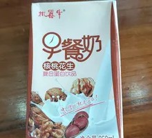 Walnut and Peanut Breakfast Milk