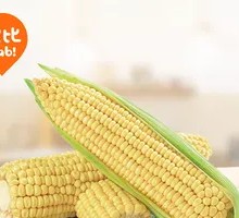 Sweet Corn