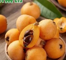 Yunnan Highland Loquat