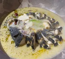 Signature Clear Fish