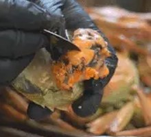 Live Crab Freshly Shelled from Our Own Crab Farm