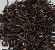 Golden Monkey Eyebrow