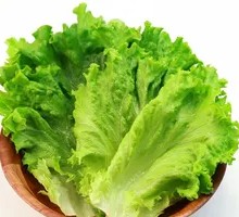 Lettuce with Frilled Edges