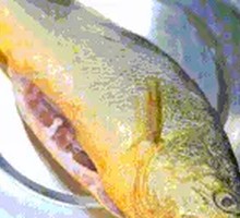 Shanghai-style Braised Yellow Croaker