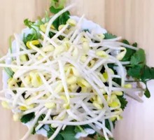 Bean sprouts