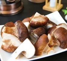Shiitake Mushroom