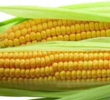 Sweet Glutinous Corn