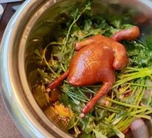 Pressure-cooked Pigeon