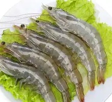 Signature Fresh Shrimp