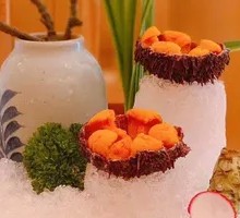 Live Sea Urchin