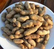 Peanut Festival
